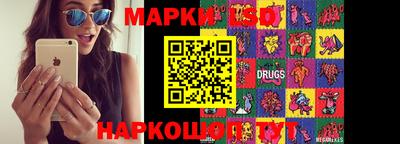 спиды Кимры