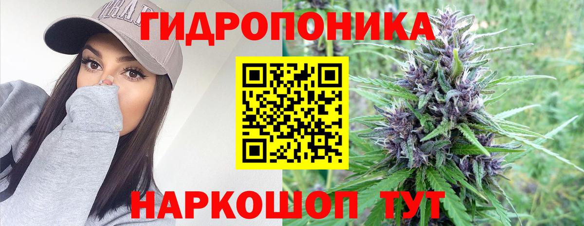 Конопля гибрид Надым